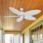 Can I Put An Outdoor Ceiling Fan Inside