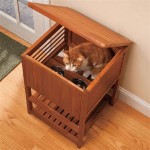 Diy Outdoor Cat Shelters And Feeding Stations