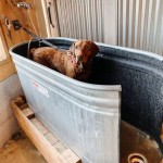 Diy Outdoor Dog Bath Station Ideas