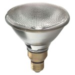 Par38 Incandescent Outdoor Flood Light Bulbs