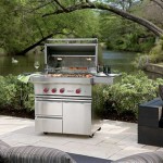 Wolf 36 Outdoor Gas Grill Review